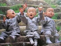Album Chú Tiểu 1