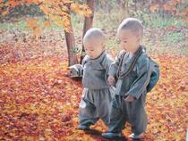 Album Chú Tiểu 1