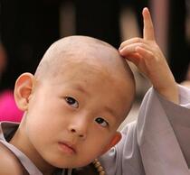 Album Chú Tiểu 2