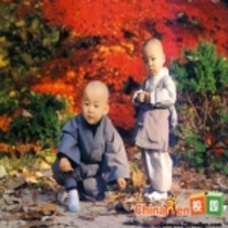 Album Chú Tiểu 1