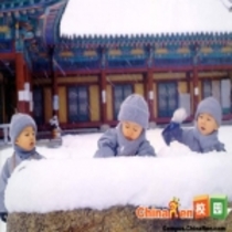 Album Chú Tiểu 1
