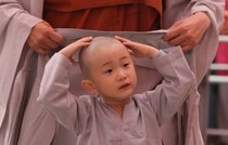 Album Chú Tiểu 2