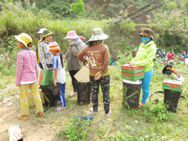 Từ thiện tại Quảng Nam