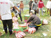 Từ thiện tại Quảng Nam