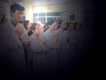 Đại Lễ Phật Đản năm 2014