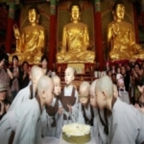 Album Chú Tiểu 2