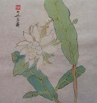 Album Chú Tiểu 4