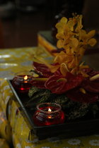 Lễ cài hoa hồng và dâng y PL: 2559 DL: 2015