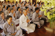 Lễ cài hoa hồng và dâng y PL: 2559 DL: 2015