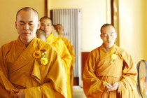 Lễ cài hoa hồng và dâng y PL: 2559 DL: 2015