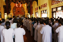 Lễ cài hoa hồng và dâng y PL: 2559 DL: 2015
