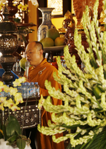 Lễ cài hoa hồng và dâng y PL: 2559 DL: 2015