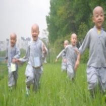 Album Chú Tiểu 2