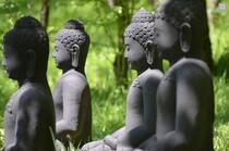 Tăng thân các vị Bụt