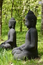 Tăng thân các vị Bụt