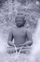 Tăng thân các vị Bụt