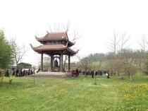Lễ hội hoa mai