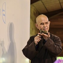 Khóa tu mùa hè 2014 tại Làng Mai