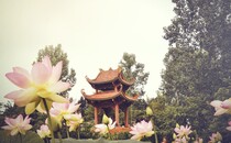 Khóa tu mùa hè 2014 tại Làng Mai