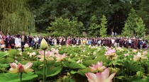 Khóa tu mùa hè 2014 tại Làng Mai