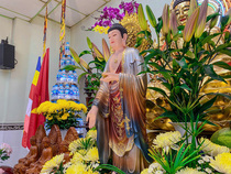 HOA ĐĂNG CÚNG DƯỜNG ĐỨC PHẬT A DI ĐÀ