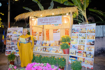 CHÙM ẢNH XUÂN BÍNH NGỌ 2026