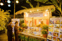 CHÙM ẢNH XUÂN BÍNH NGỌ 2026