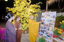 CHÙM ẢNH XUÂN BÍNH NGỌ 2026