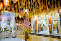 CHÙM ẢNH XUÂN BÍNH NGỌ 2026