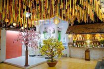 CHÙM ẢNH XUÂN BÍNH NGỌ 2026