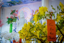 CHÙM ẢNH XUÂN BÍNH NGỌ 2026