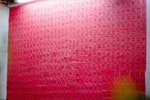 CHÙM ẢNH XUÂN BÍNH NGỌ 2026