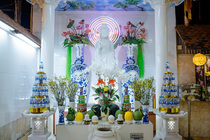 CHÙM ẢNH XUÂN BÍNH NGỌ 2026