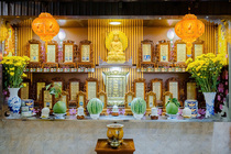 CHÙM ẢNH XUÂN BÍNH NGỌ 2026