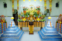 CHÙM ẢNH XUÂN BÍNH NGỌ 2026