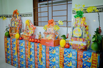 CHÙM ẢNH XUÂN BÍNH NGỌ 2026