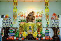 CHÙM ẢNH XUÂN BÍNH NGỌ 2026