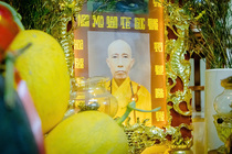 CHÙM ẢNH XUÂN BÍNH NGỌ 2026