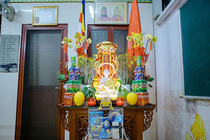 CHÙM ẢNH XUÂN BÍNH NGỌ 2026