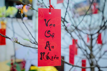 CHÙM ẢNH XUÂN BÍNH NGỌ 2026