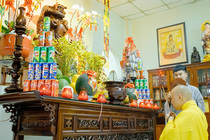 CHÙM ẢNH XUÂN BÍNH NGỌ 2026