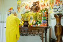 CHÙM ẢNH XUÂN BÍNH NGỌ 2026