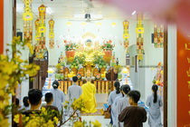 CHÙM ẢNH XUÂN BÍNH NGỌ 2026