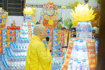 CHÙM ẢNH XUÂN BÍNH NGỌ 2026