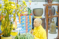 CHÙM ẢNH XUÂN BÍNH NGỌ 2026