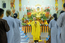 CHÙM ẢNH XUÂN BÍNH NGỌ 2026