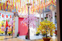 CHÙM ẢNH XUÂN BÍNH NGỌ 2026