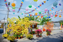 CHÙM ẢNH XUÂN BÍNH NGỌ 2026