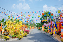 CHÙM ẢNH XUÂN BÍNH NGỌ 2026