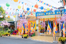 CHÙM ẢNH XUÂN BÍNH NGỌ 2026